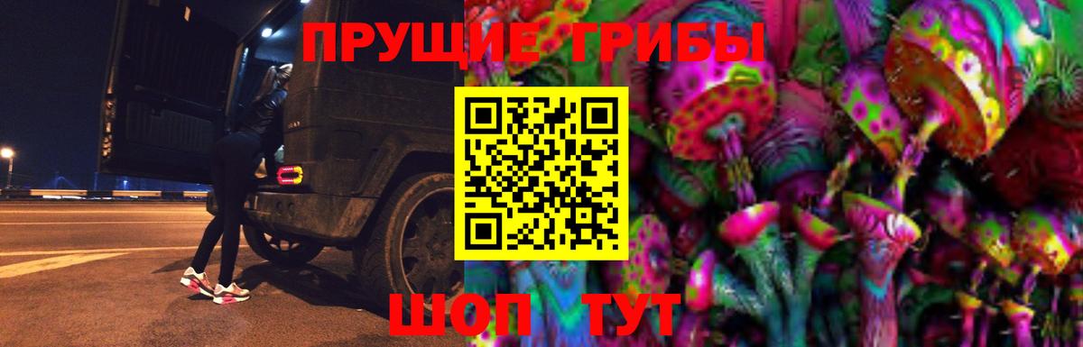 Семилуки  Псилоцибиновые грибы ЛСД  Вход с VPN 